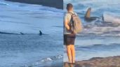 Bañistas son desalojados de una playa ante avistamiento de un tiburón de dos metros