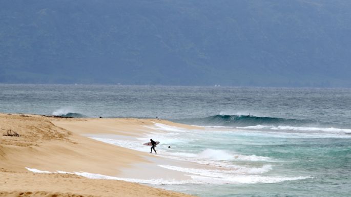 Socorrista profesional muere por un ataque de tiburón cuando hacía surf