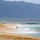 Socorrista profesional muere por un ataque de tiburón cuando hacía surf
