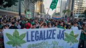 Supremo Tribunal de Brasil despenaliza la posesión de mariguana para uso personal