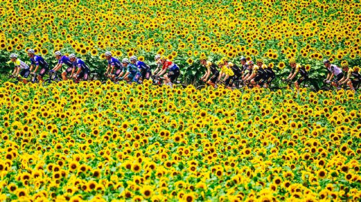 Todo sobre el Tour de Francia 2024: salida desde Italia y un final olímpico en Niza
