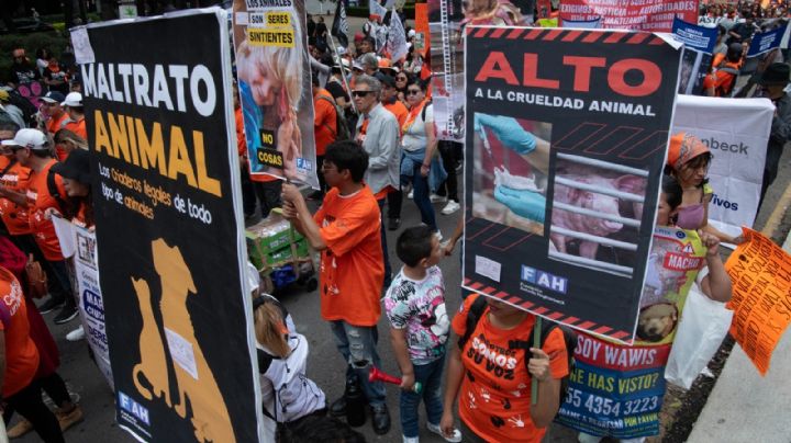Marcha Nacional por el derecho de los animales en la CDMX