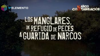 Los manglares, de refugio de peces a guarida de narcos