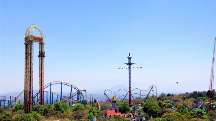Six Flags halla solución y promete no derribar un solo árbol para construir un nuevo “Roller Coaster”