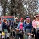 Reforestan con pinos parcelas donde cultivaban amapola en la sierra de Guerrero