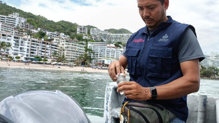 Cofepris alerta de 18 playas contaminadas para este periodo vacacional