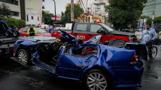 Árbol aplasta un automóvil con una familia dentro en la Nápoles; la madre murió (Video)
