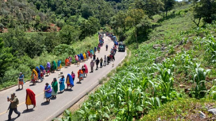 Asesinan a integrantes del Cipog-Ez en Chilapa; la organización culpa a un grupo paramilitar