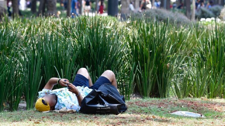 Hoy no, mañana: el desobediente hábito de procrastinar