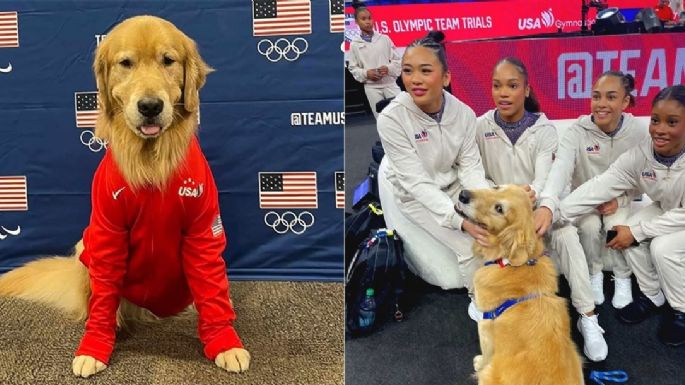 Beacon, el perro de terapia del equipo de gimnasia de Estados Unidos