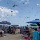 Un enjambre de libélulas sorprende a bañistas (Video)
