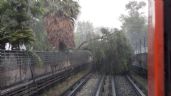 Metro se impacta contra árbol en la Línea 5 y conductora resulta herida