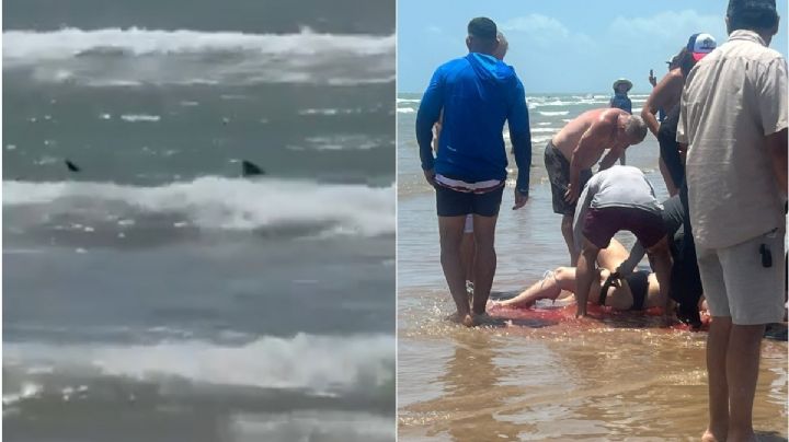 Ataques consecutivos de tiburón a turistas en la Isla del Padre, Texas (Videos)