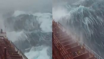 Tripulantes de barcos cargueros filman olas gigantes y las comparten en redes sociales