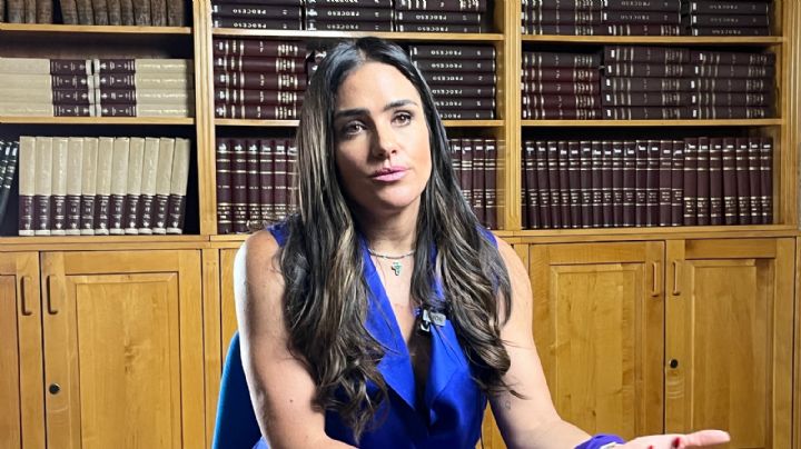 IECM interpuso medidas cautelares contra Monreal por violencia política: Alessandra Rojo de la Vega