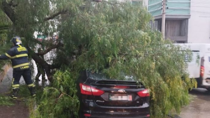 Tormenta derriba seis árboles y provoca inundaciones en la CDMX