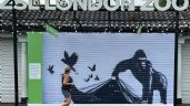 Zoológico de Londres retira mural de animales de Banksy para protegerlo