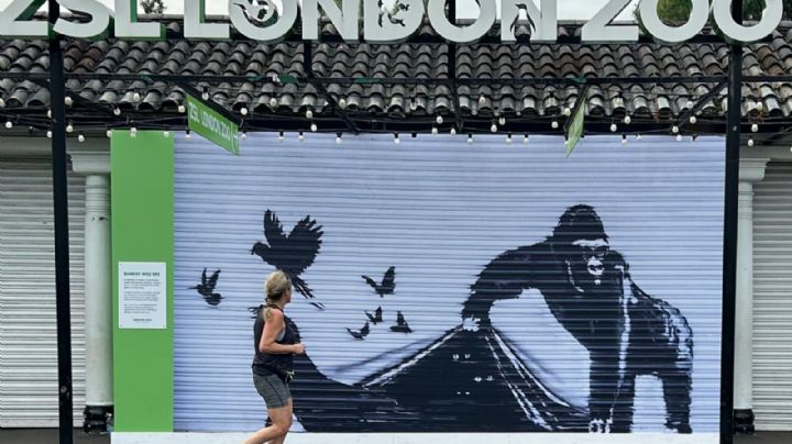 Zoológico de Londres retira mural de animales de Banksy para protegerlo