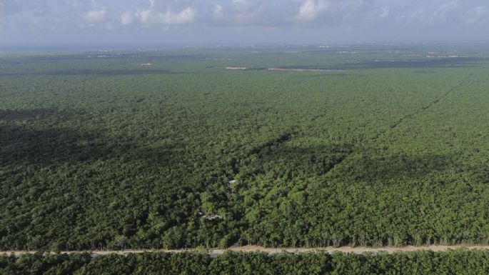 A la sombra del Tren Maya, el paraíso secreto de los Bartlett (Video)