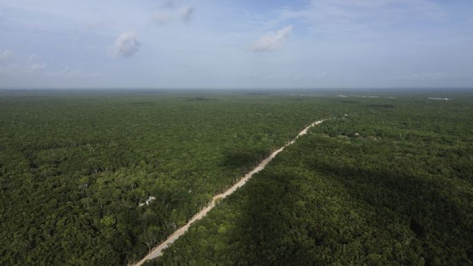 A la sombra del Tren Maya, el paraíso secreto de los Bartlett (Video)