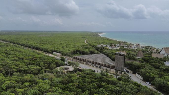 A la sombra del Tren Maya, el paraíso secreto de los Bartlett (Video)