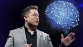 Tesla presenta su primer robot humanoide Optimus; esto costará