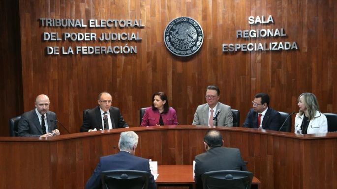 ¿Cómo resuelve el Tribunal Electoral los conflictos relacionados con actos de los partidos políticos?