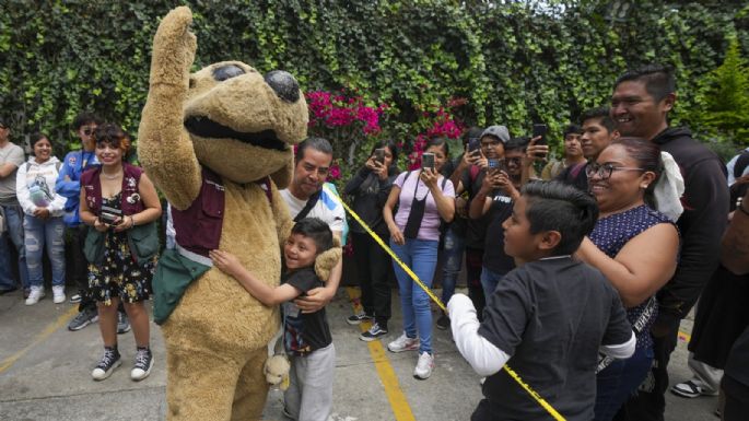 Este es Wisin, el "perrito luchador" de México que se ha vuelto fenómeno viral (Video)