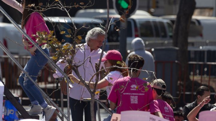 Vuelve la Marea Rosa: ahora va contra la “sobrerrepresentación”