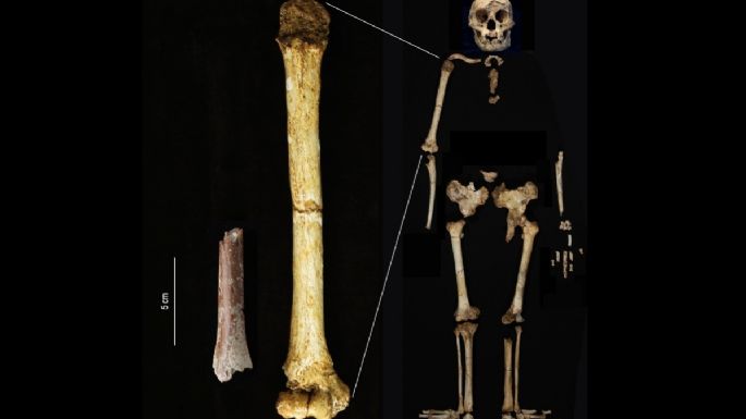 Fósiles indican que "hobbits" aún más pequeños existieron en una isla indonesia hace 700 mil años