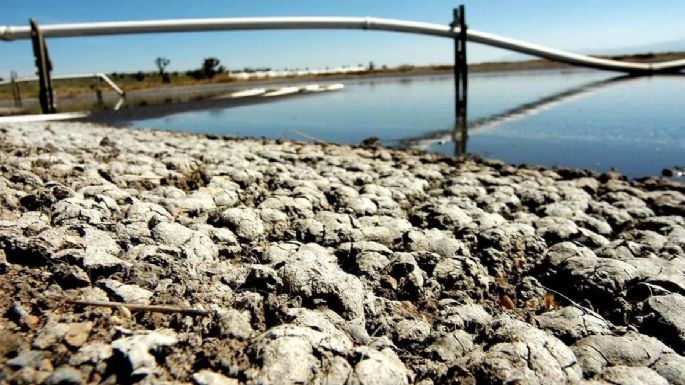 Exigen ONG no criminalizar a defensores del agua que protestan contra Granjas Carroll