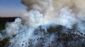 Brasil atraviesa su peor sequía con incendios forestales y el Amazonas en un mínimo histórico