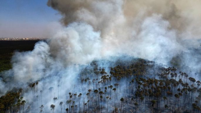 Brasil atraviesa su peor sequía con incendios forestales y el Amazonas en un mínimo histórico