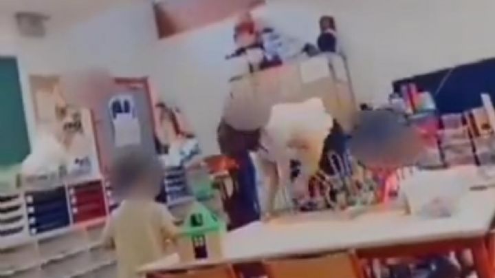 Maestra da golpe a una niña y la tira al suelo en una guardería (Video)