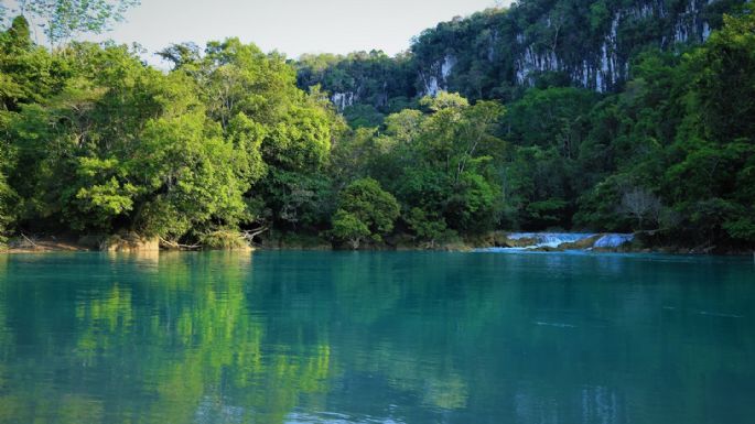 Mayas denuncian infiltración del narcotráfico en la Selva Lacandona