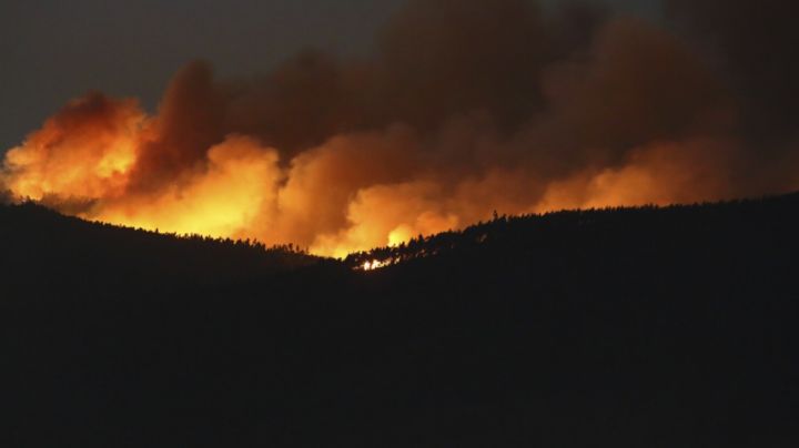 Portugal declara el estado de desastre mientras los incendios arden sin control