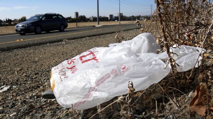 Gobernador de California promulga ley que prohíbe todas las bolsas de plástico en tiendas