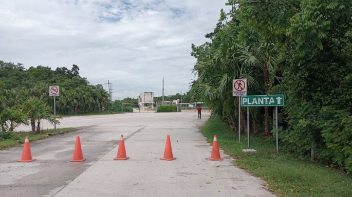 AMLO decreta área natural protegida terrenos de Calica; trasnacional anuncia batalla legal