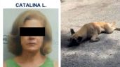 Vinculan a proceso a Catalina “L”, mujer que amarró y arrastró a un perro con su camioneta