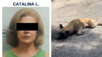 Vinculan a proceso a Catalina “L”, mujer que amarró y arrastró a un perro con su camioneta