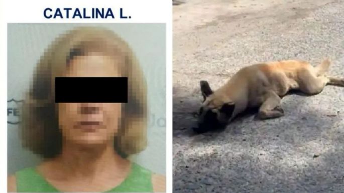 Vinculan a proceso a Catalina “L”, mujer que amarró y arrastró a un perro con su camioneta