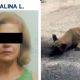 Vinculan a proceso a Catalina “L”, mujer que amarró y arrastró a un perro con su camioneta