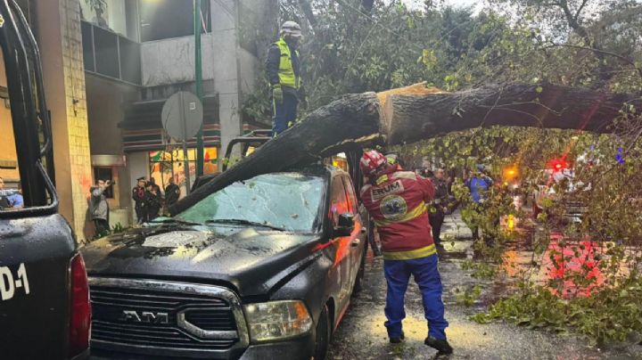 Árbol cae sobre una patrulla y causa daños en instalaciones de la SSC en la Cuauhtémoc (Videos)