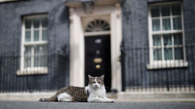 ¿Cuál es el protocolo ante la muerte de Larry, el gato de la residencia del primer ministro?