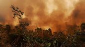 Bolivia declara la emergencia nacional por los incendios forestales