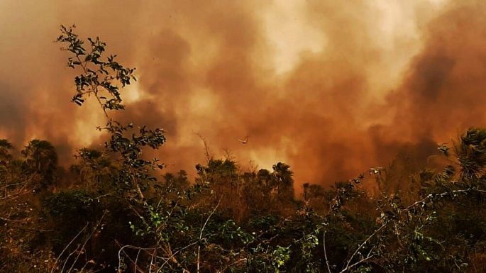 Bolivia declara la emergencia nacional por los incendios forestales