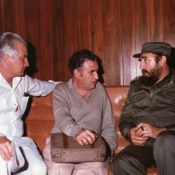 Fidel Castro y el socialismo real