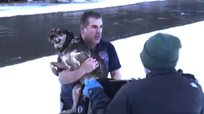 Graban en video dramático rescate de perro de un río helado