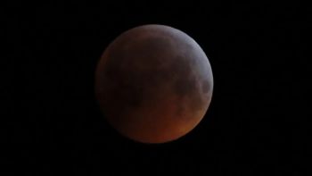 Eclipse Lunar 2025: ¿A qué hora se podrá apreciar la “Luna de Sangre”?