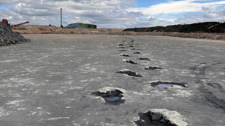 Descubren 200 huellas de dinosaurios de 166 millones de años de antigüedad